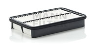 C2731/1 Air Filter