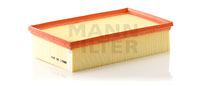 C30005 Air Filter