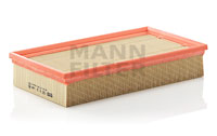 C31144 Air Filter