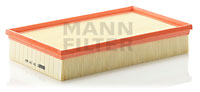 C32191/1 Air Filter