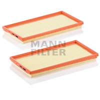 C3361-2 Air Filter