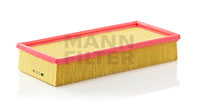 C33156 Air Filter