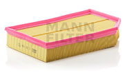 C33194 Air Filter