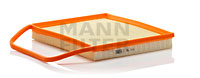 C36004 Air Filter