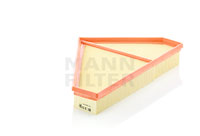 C36009 Air Filter