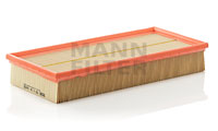 C36168 Air Filter