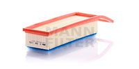 C38130 Air Filter