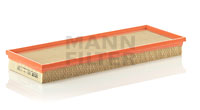 C40107 Air Filter