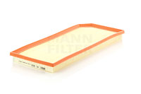 C41002 Air Filter