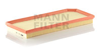 C41110 Air Filter