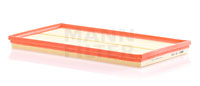 C42002 Air Filter