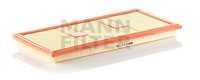 C43139 Air Filter